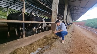 Setor Leiteiro Brasileiro Viver&aacute; um novo Ciclo de Ouro, Aponta Especialista