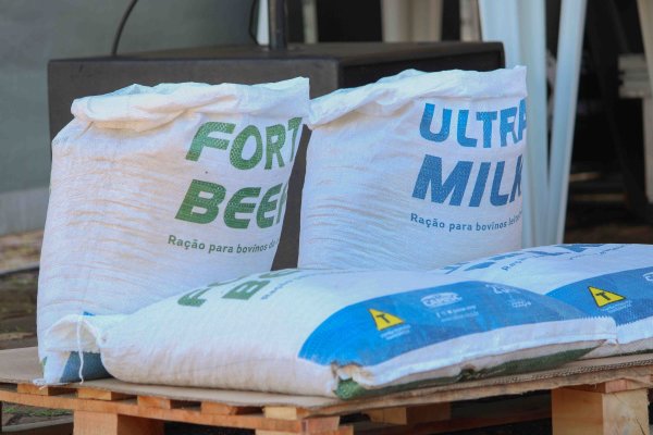 Camisc lan&ccedil;a linha de ra&ccedil;&otilde;es de alta qualidade com foco em desempenho e rentabilidade