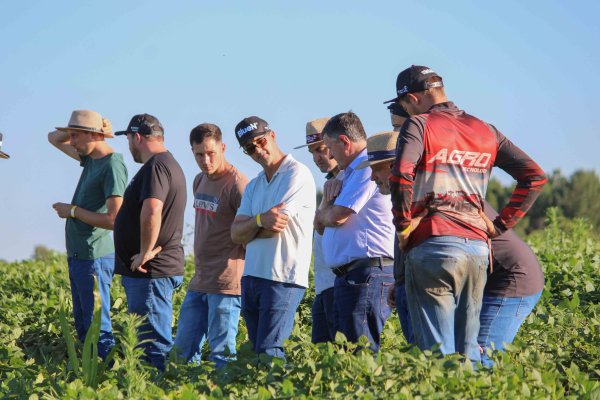 Inova&ccedil;&atilde;o no Campo: CAMISC e Embrapa lan&ccedil;am novas cultivares de feij&atilde;o