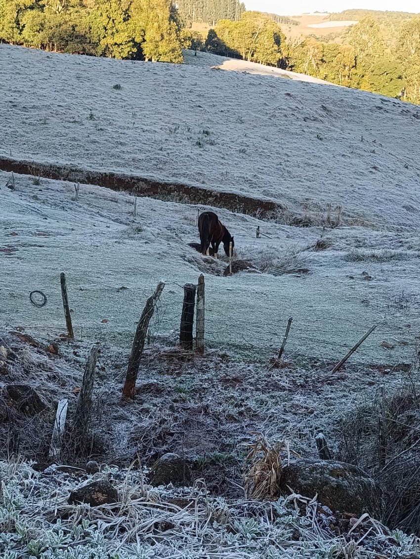 Frio Intenso Persiste no Sudoeste do Paran&aacute;, Aquecendo o Com&eacute;rcio e Gerando Alerta na Agricultura