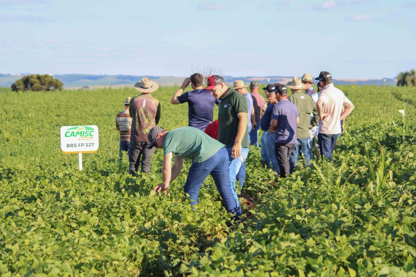 Inova&ccedil;&atilde;o no Campo: CAMISC e Embrapa lan&ccedil;am novas cultivares de feij&atilde;o
